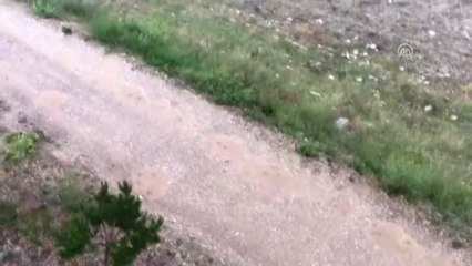 Başkentte dolu yağışı