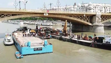 "다뉴브 상류 물조절 효과로 수위 낮아져" / YTN