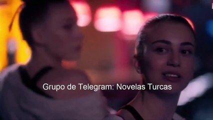 Ph1 (F1) Capitulo 24