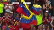 Jose Salomon Rondon Goal - USA vs Venezuela 0-1 09/06/2019