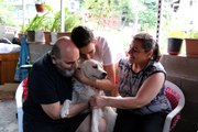 Kayıp köpekleriyle kavuşma anı milyonlarca kez izlenen ailenin mutluluğu