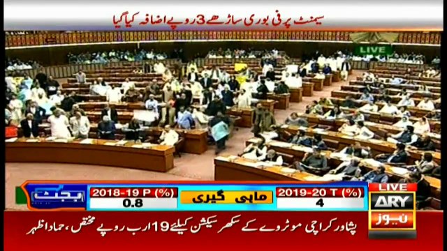 Budget 2019-20 Complete Speech by Hammad Azhar