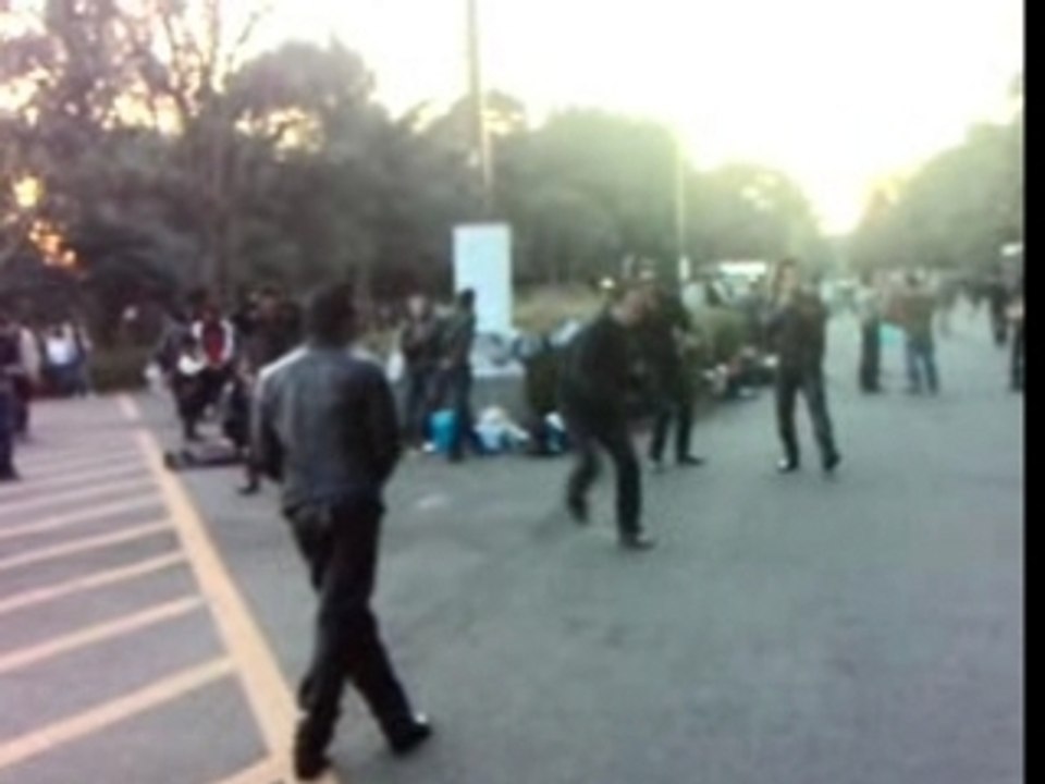 Rockabilly @ Harajuku Park, Tokyo