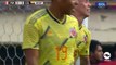 Mateus Uribe Goal - Peru vs Colombia 0-1 09/06/2019