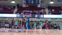 Liz Cambage with 17 Points vs. New York Liberty