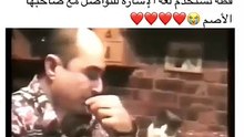 TopSaver237910820A cat uses sign language