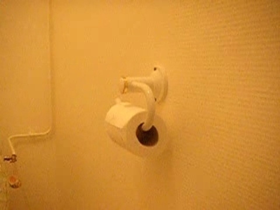 Coin toilette