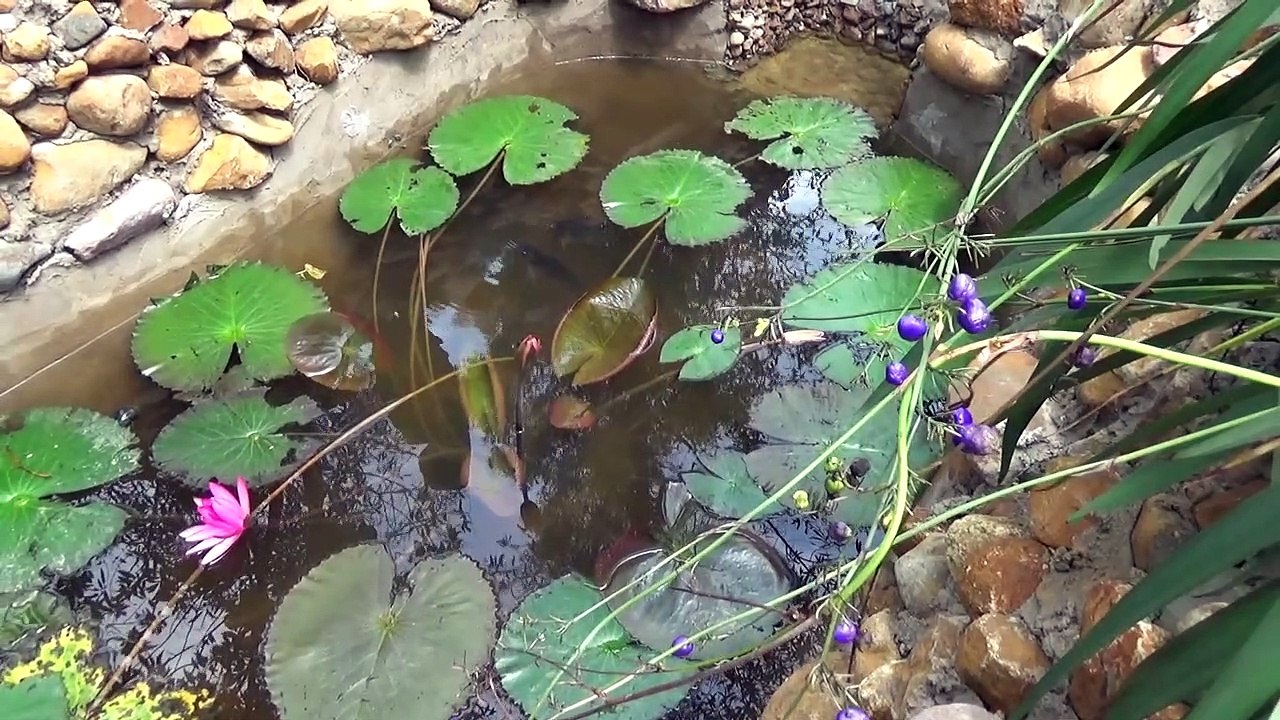 Primitive Life:Holiday Hut part 1!