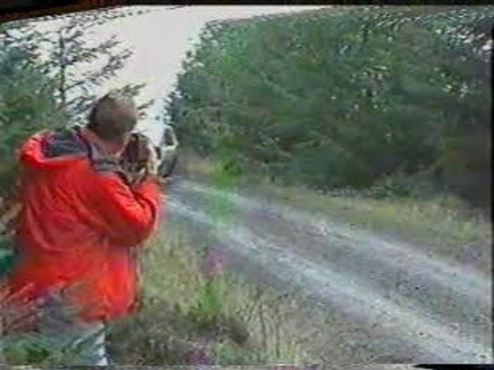 043-honda-civic-rally-car