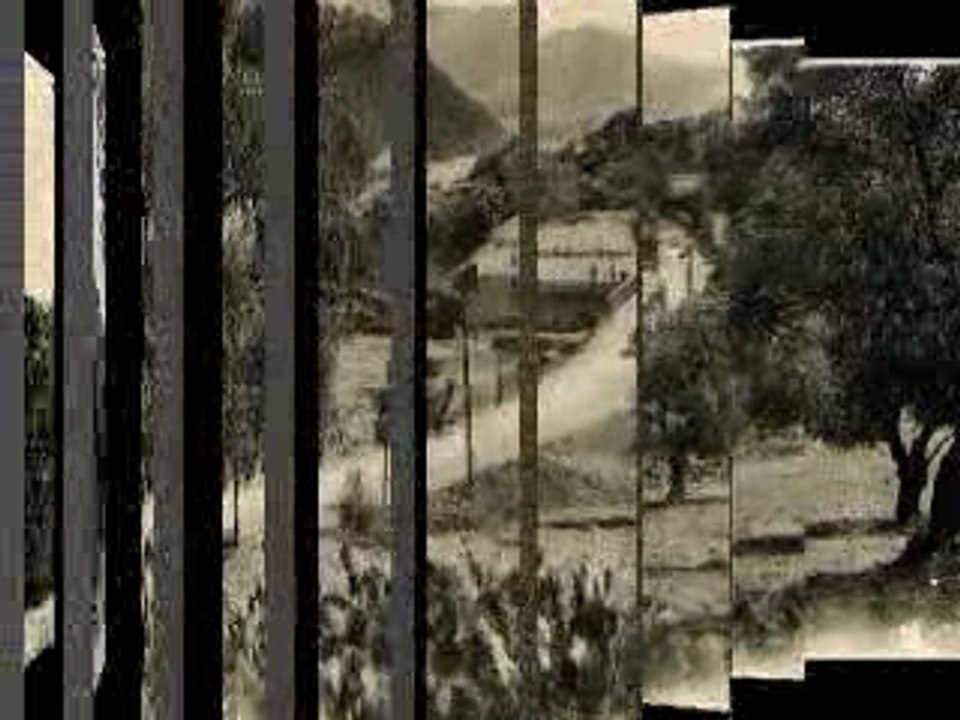 sur la trace de nos racines(IDIR)