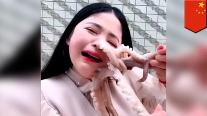 生きたタコを食べようとした美人ブロガー 吸盤に吸い付かれる - トモニュース