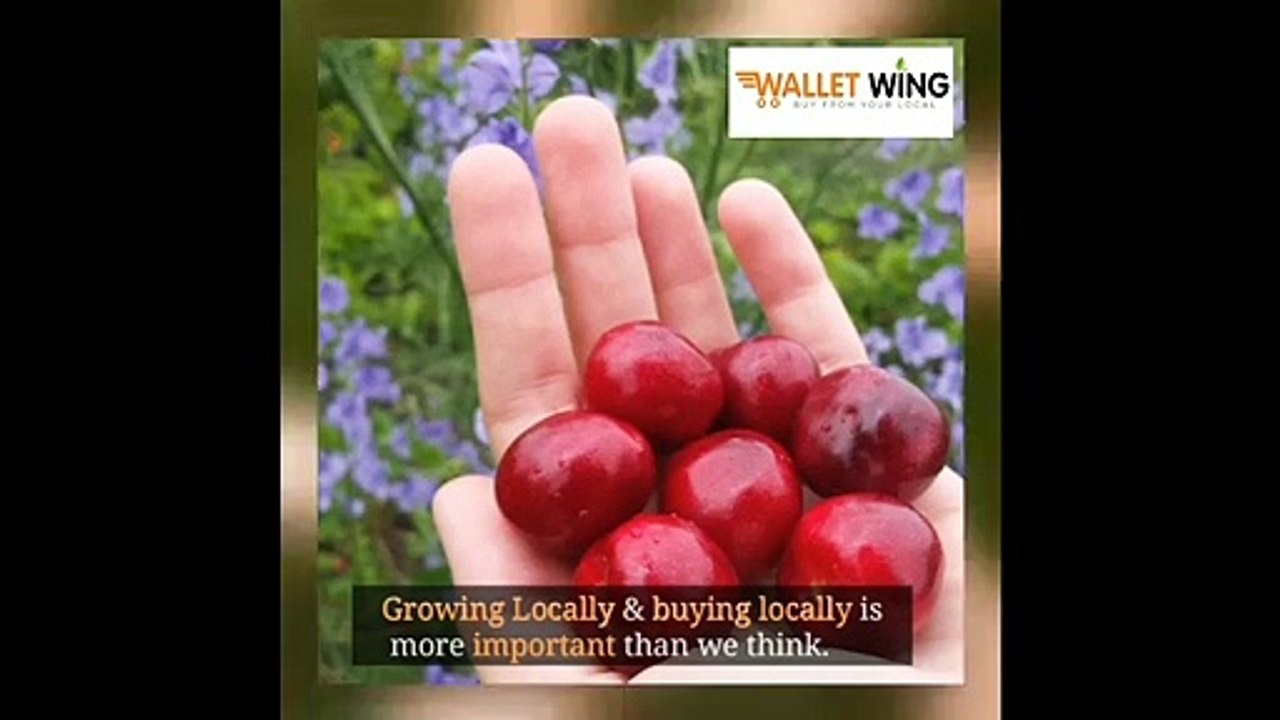 Organic Local Small Business for Farmers in Chennai, India