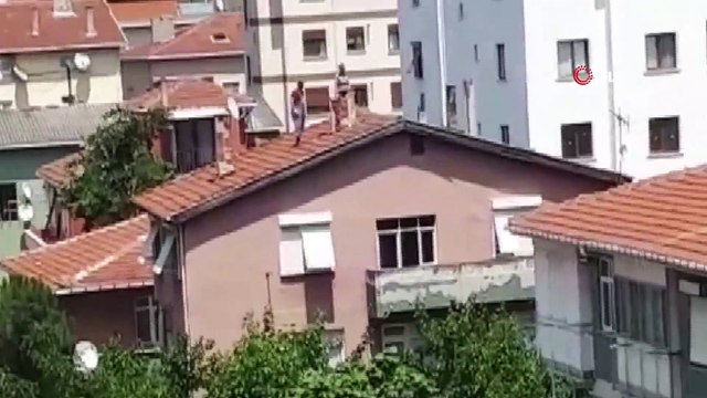 Çatıda tadilat yapanlar ile martının ilginç mücadelesi kamerada