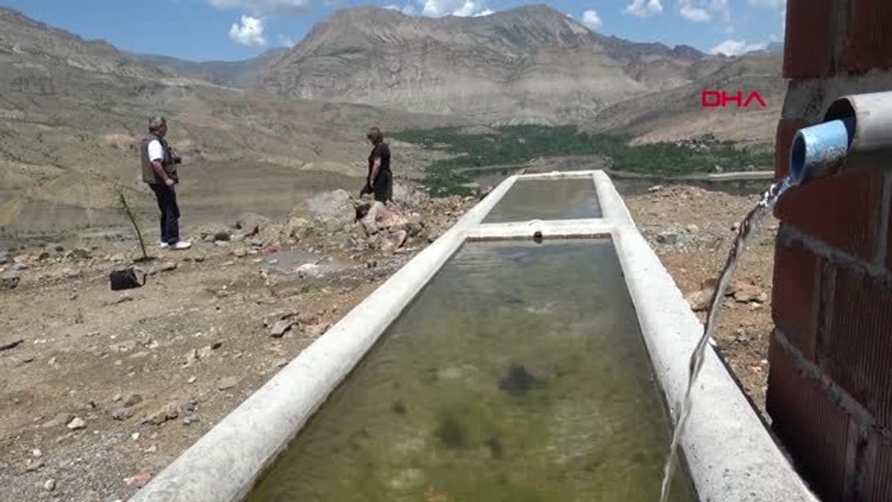 ERZURUM Ayvalı Baraj gölünde toplu balık ölümleri