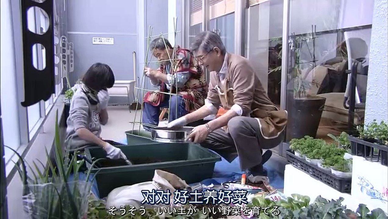 家族的形式04