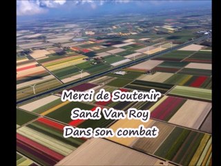 Support Sand Van Roy