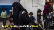 Syrie : 12 orphelins de familles djihadistes de retour en France