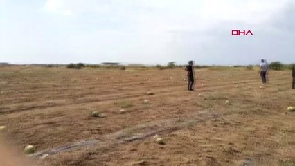 ANTALYA MANAVGAT'TA TEK MOTORLU UÇAK DÜŞTÜ