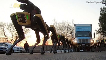Boston Dynamics’ Animal-Like ‘Spot’ Robot Will Soon be Available for Purchase