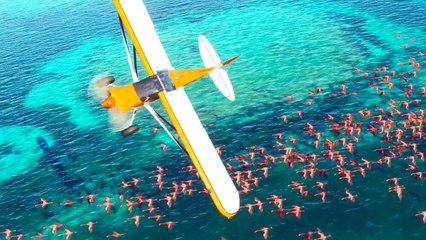 MICROSOFT FLIGHT SIMULATOR Gameplay