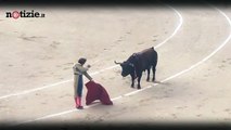 Madrid, ferito gravemente il torero Roman Collado | Notizie.it