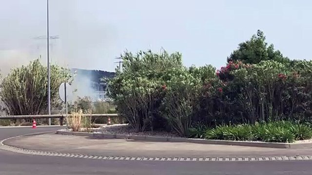 Martigues : feu de cannier à Croix Sainte