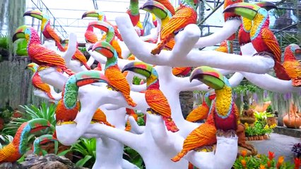 Nastya et Papa de jouer à cache-cache dans l'amusement des enfants