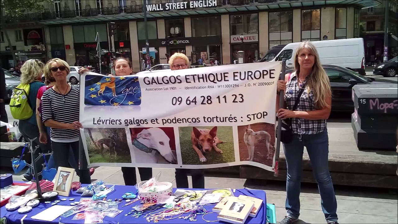 marche-abattoirs-L214-paris-republique-8juin2019-galgosethiqueeurope