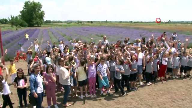 Lavanta tarlası fotoğraf stüdyosuna döndü