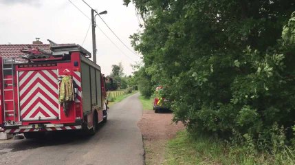 Jurbise : les pompiers sauvent une vache