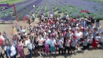 Edirne'de lavanta tarlaları fotoğraf stüdyosuna döndü