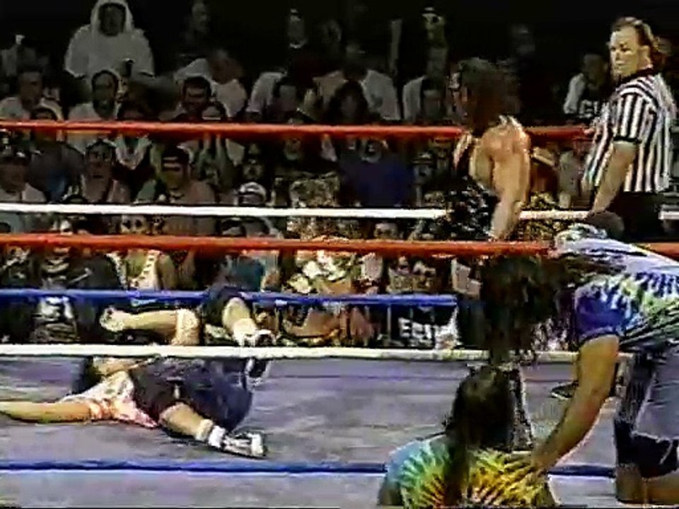 ECW 1995 07 01  Hardcore Heaven 95 000