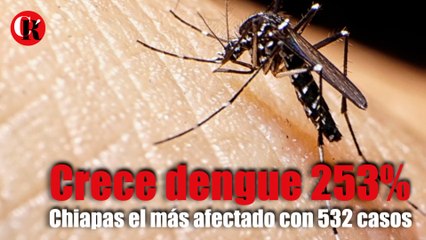 Crece dengue 253% Chiapas el más afectado con 532 casos