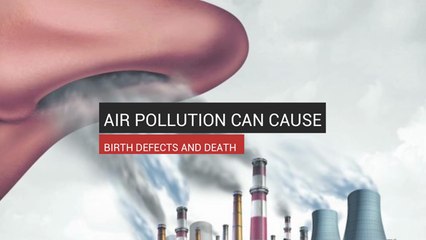 Air Pollution Can Cause Birth Defects And Death