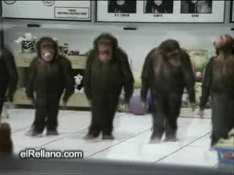 Chimpan dance