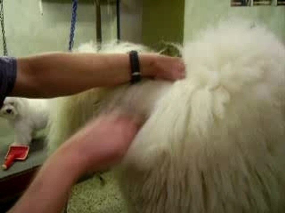 Rub4
