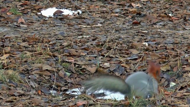 의형제새주소 의형제도메인 의형제가입코드 LD-88.COM 드라마 코드 6969 추천인 MTX 코드 주소 도메인 사이트 추천 놀이터 안전 실시간 파워볼 유출 픽 메이저 먹튀 사설 검증 인증 조작 바카라 룰렛 식보 카지노 온라인 라이브 인터넷 팁 규칙 토토