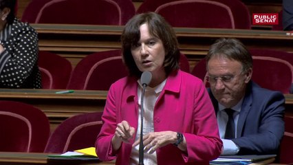 IVG : Laurence Rossignol (PS) dénonce une « petite combine de procédure mise au point par le groupe LR et le gouvernement »