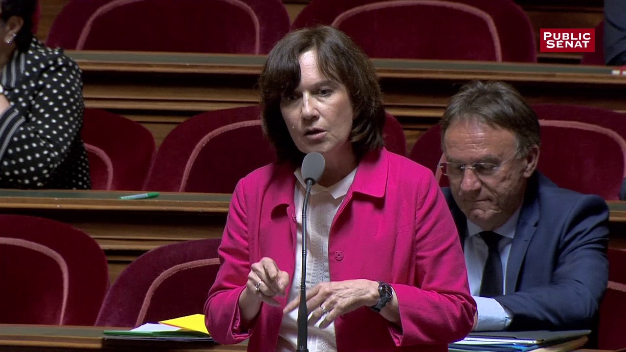 IVG : Laurence Rossignol (PS) dénonce une « petite combine de procédure mise au point par le groupe LR et le gouvernement »