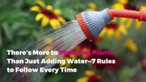 There’s More to Watering Plants Than Just Adding Water—7 Rules to Follow Every Time