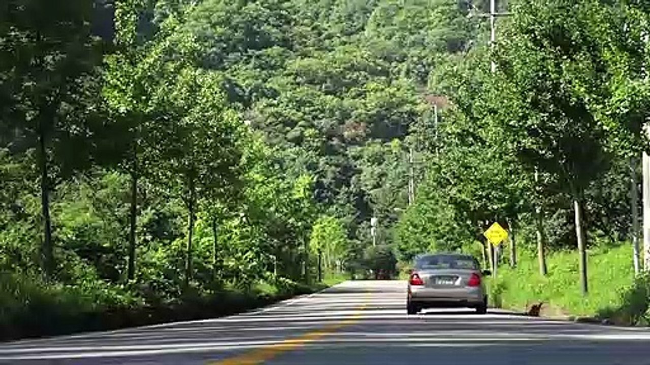 남쪽으로 간다 (Going South, 2012) 예고편 (Trailer)