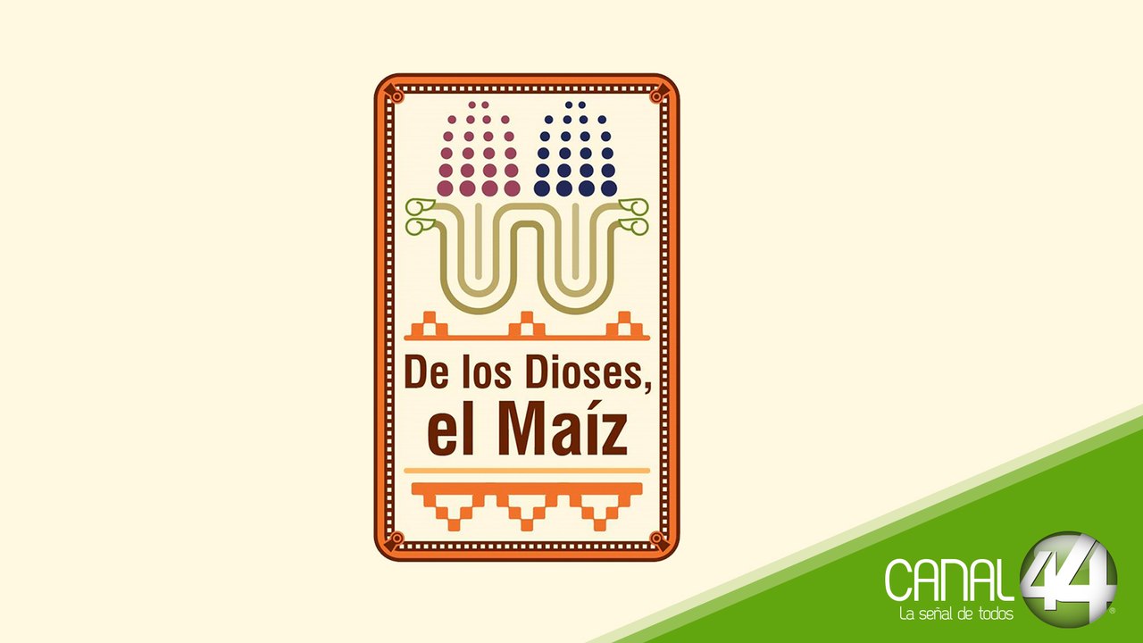 El ciclo de vida, el ciclo del maíz