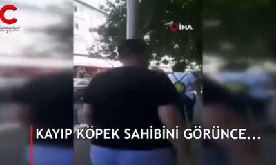 Kayıp köpeğin sahibiyle duygusal kavuşma anı