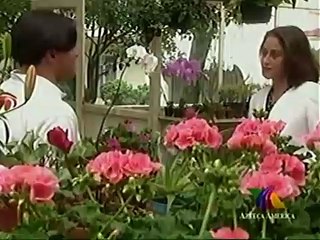 MIRADA DE MUJER CAPITULO 37