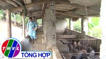 THVL | Nông nghiệp bền vững: Khẩn cấp phòng chống dịch tả heo Châu Phi