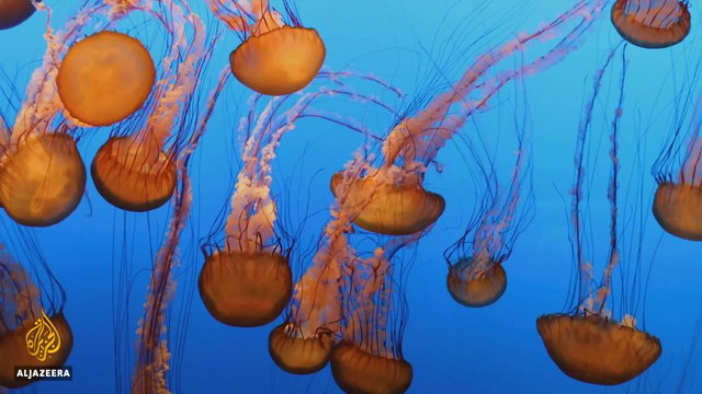 Feeding the Billions: A New Frontier for Sustainable Eating | earthrise