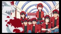 Red Blood Cell MOE Scenes Compilation | Anime 2018 |  Watch In1080p