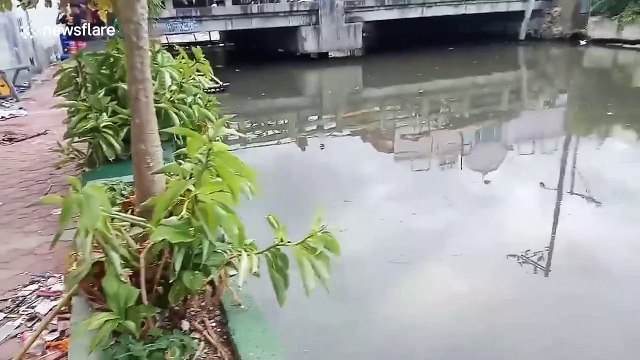 Filipino residents furious as plastic pollution swamps city's river few days after cleanup