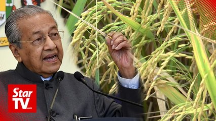 Govt to cut investment processes, help paddy farmers