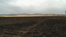 الحرائق تلتهم مئات الهكتارات الزراعية بتونس